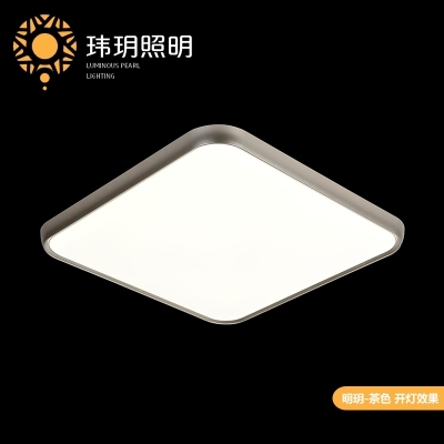 客廳燈吸頂燈如何經(jīng)受住市場的鍛煉？